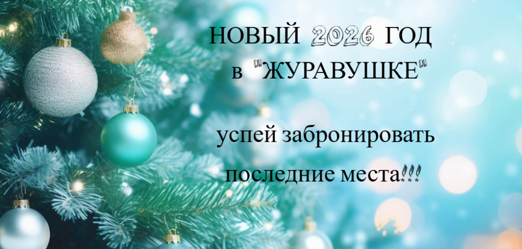 Новый год .png